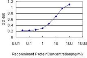 Detection limit for recombinant GST tagged EIF4G3 is approximately 1ng/ml as a capture antibody. (EIF4G3 anticorps  (AA 1-515))