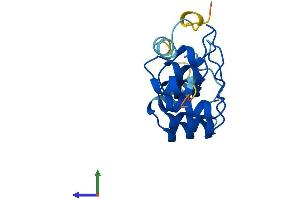 AlphaFold protein structure predicition of Mouse Recombinant Ppp1r27 Protein, UniprotID Q9D119