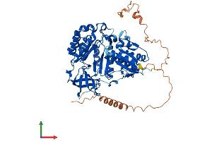 AlphaFold protein structure predicition of Mouse Recombinant Cdkal1 Protein, UniprotID Q91WE6