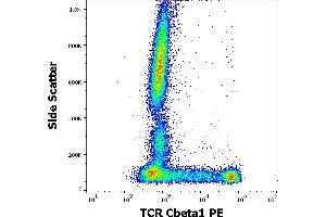 Flow cytometry surface staining pattern of human peripheral whole blood stained using anti-human TCR Cbeta1 (JOVI. (TCR, Cbeta1 anticorps (PE))
