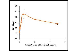 Colony Stimulating Factor 3 (Granulocyte) (CSF3) (Active) protein