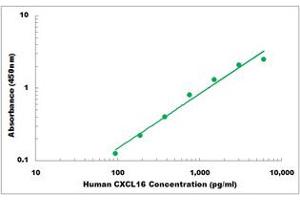 Representative Standard Curve (CXCL16 Kit ELISA)