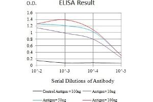 Black line: Control Antigen (100 ng),Purple line: Antigen (10 ng), Blue line: Antigen (50 ng), Red line:Antigen (100 ng) (CHRM5 anticorps)