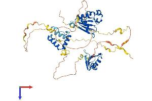 AlphaFold protein structure predicition of Mouse Recombinant Rnpc3 Protein, UniprotID Q3UZ01