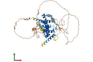 AlphaFold protein structure predicition of Human Recombinant TBC1D3I Protein, UniprotID A0A087WXS9