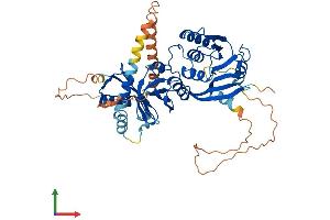 AlphaFold protein structure predicition of Human Recombinant THUMPD2 Protein, UniprotID Q9BTF0