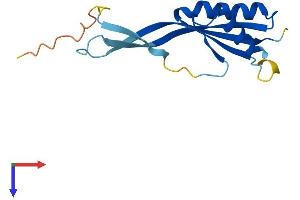 AlphaFold protein structure predicition of Human Recombinant POP7 Protein, UniprotID O75817