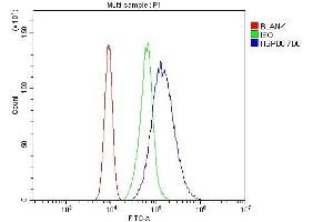 Flow Cytometry analysis of CACO-2 cells using anti- HSPB8/Hsp22 antibody (ABIN7599067). (HSPB8 anticorps  (AA 1-196))