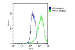 Overlay histogram showing MCF-7 cells stained with (ABIN1945085 and ABIN2838547)(green line).