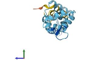 AlphaFold protein structure predicition of Human Recombinant CABP5 Protein, UniprotID Q9NP86