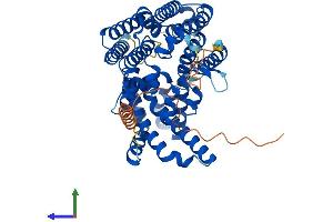 AlphaFold protein structure predicition of Human Recombinant MBOAT2 Protein, UniprotID Q6ZWT7