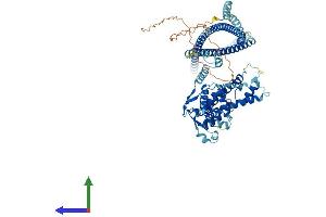 AlphaFold protein structure predicition of Mouse Recombinant Tsnaxip1 Protein, UniprotID Q99P25