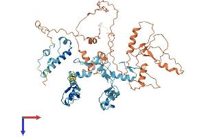 AlphaFold protein structure predicition of Human Recombinant ZNF248 Protein, UniprotID Q8NDW4