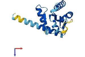 AlphaFold protein structure predicition of Mouse Recombinant Gadd45b Protein, UniprotID P22339