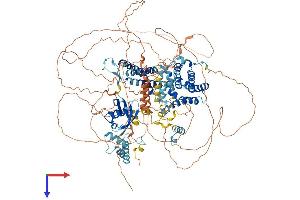 AlphaFold protein structure predicition of Mouse Recombinant Bag6 Protein, UniprotID Q9Z1R2