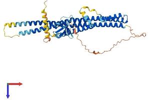 AlphaFold protein structure predicition of Human Recombinant SH3GLB2 Protein, UniprotID Q9NR46