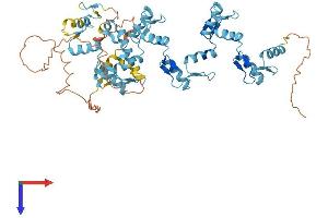 AlphaFold protein structure predicition of Human Recombinant ZNF57 Protein, UniprotID Q68EA5