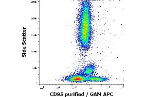 Flow cytometry surface staining pattern of human peripheral whole blood stained using anti-human CD95 (EOS9. (FAS anticorps)