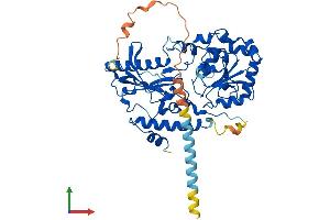 AlphaFold protein structure predicition of Mouse Recombinant Fut10 Protein, UniprotID Q5F2L2