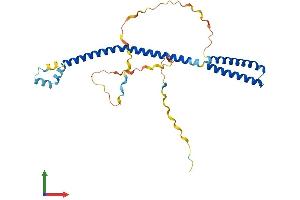 AlphaFold protein structure predicition of Human Recombinant VPS37B Protein, UniprotID Q9H9H4