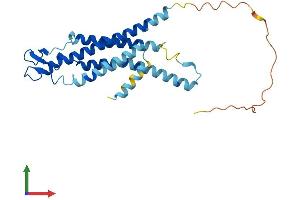 AlphaFold protein structure predicition of Mouse Recombinant Gjb4 Protein, UniprotID Q02738
