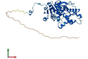 AlphaFold protein structure predicition of Human Recombinant LDHAL6B Protein, UniprotID Q9BYZ2