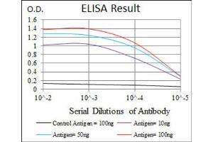 Red: Control Antigen (100ng) ; Purple: Antigen (10ng) ; Green: Antigen (50ng) ; Blue: Antigen (100ng). (FZD5 anticorps  (AA 151-217))