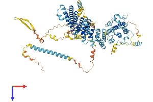 AlphaFold protein structure predicition of Human Recombinant NOC3L Protein, UniprotID Q8WTT2