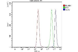 Flow Cytometry analysis of Daudi cells using anti-SLIT2 antibody (ABIN7602678).