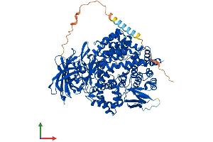 AlphaFold protein structure predicition of Mouse Recombinant Enpep Protein, UniprotID P16406