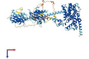 AlphaFold protein structure predicition of Human Recombinant PDE5A Protein, UniprotID O76074
