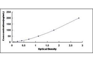 Anti-Apolipoprotein Antibody (AAHA) ELISA Kit