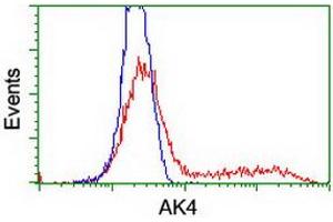 HEK293T cells transfected with either RC220572 overexpress plasmid (Red) or empty vector control plasmid (Blue) were immunostained by anti-AK4 antibody (ABIN2454651), and then analyzed by flow cytometry. (AK4 anticorps)