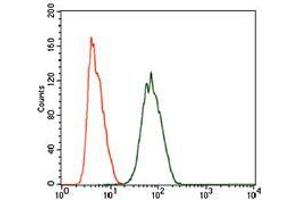 Flow cytometric analysis of HeLa cells using PIWIL4 mouse mAb (green) and negative control (red).