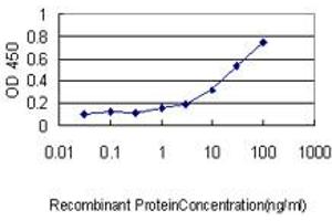 anti-STAM Binding Protein (STAMBP) (AA 1-424) antibody