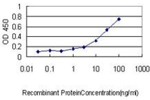 Detection limit for recombinant GST tagged STAMBP is approximately 0. (STAMBP anticorps  (AA 1-424))