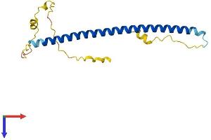 AlphaFold protein structure predicition of Human Recombinant JDP2 Protein, UniprotID Q8WYK2