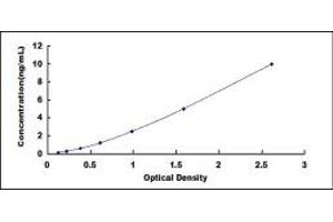 Typical standard curve (NADPH Oxidase 4 Kit ELISA)