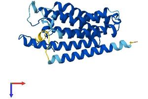 AlphaFold protein structure predicition of Human Recombinant SRD5A1 Protein, UniprotID P18405