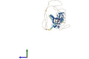 AlphaFold protein structure predicition of Human Recombinant PPFIBP1 Protein, UniprotID Q86W92