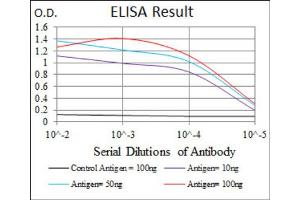 Red: Control Antigen (100ng) ; Purple: Antigen (10ng) ; Green: Antigen (50ng) ; Blue: Antigen (100ng). (EIF4B anticorps)