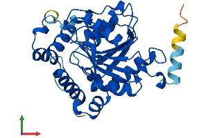 AlphaFold protein structure predicition of Mouse Recombinant Spg21 Protein, UniprotID Q9CQC8