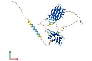 AlphaFold protein structure predicition of Human Recombinant SYT4 Protein, UniprotID Q9H2B2