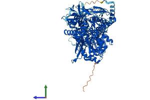 AlphaFold protein structure predicition of Human Recombinant ALDH1L2 Protein, UniprotID Q3SY69