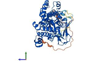 AlphaFold protein structure predicition of Mouse Recombinant Setd6 Protein, UniprotID Q9CWY3