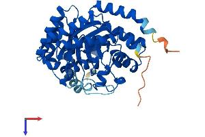 AlphaFold protein structure predicition of Mouse Recombinant Adal Protein, UniprotID Q80SY6