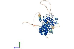 AlphaFold protein structure predicition of Human Recombinant RIPK2 Protein, UniprotID O43353