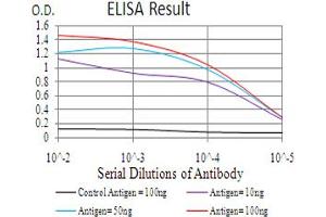 Black line: Control Antigen (100 ng), Purple line: Antigen(10 ng), Blue line: Antigen (50 ng), Red line: Antigen (100 ng),