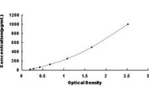 Typical standard curve (KLF1 Kit ELISA)