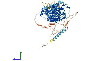 AlphaFold protein structure predicition of Human Recombinant GALNT15 Protein, UniprotID Q8N3T1